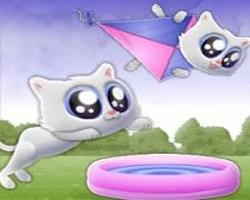 Play Extreme Kitten Game